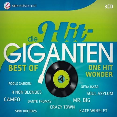 VA - Die Hit Giganten Best of One Hit Wonder